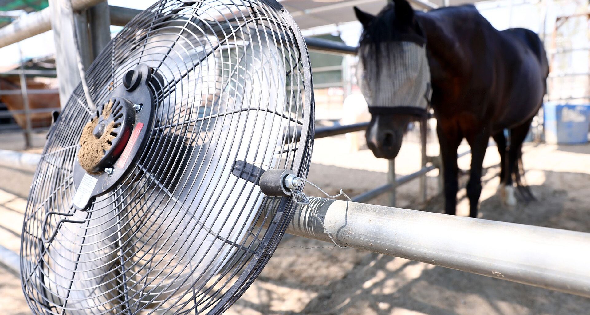 A close up of a circular metal fan tied to a fence post with a horse wearing eye blinders in the background.