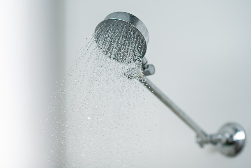 A shower head