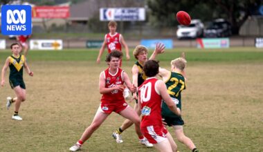 CTE poses a massive dilemma for the AFL. Experts say urgent action is needed to protect players