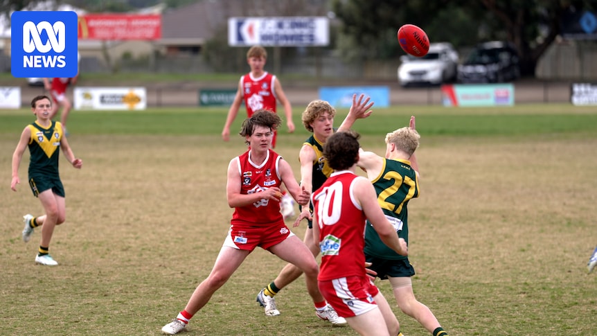 CTE poses a massive dilemma for the AFL. Experts say urgent action is needed to protect players