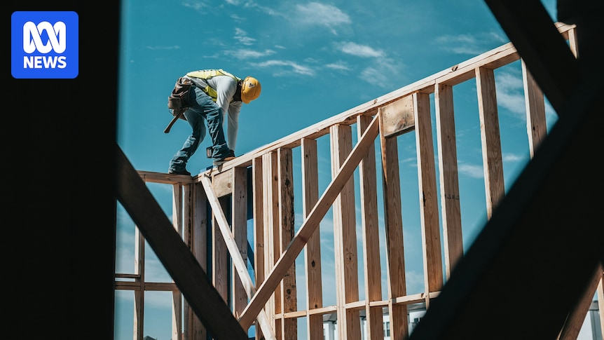 Food trades, hospitality and agriculture hardest hit in vocational training drop