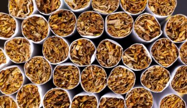 Australia's tobacco black market branded ‘global laughing stock’ as illegal rates trump dozens of countries