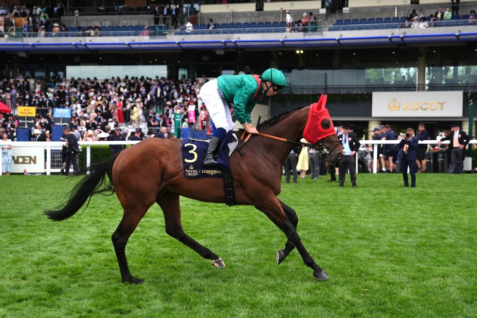 Royal Ascot 2026 - Day Two - Ascot Racecourse