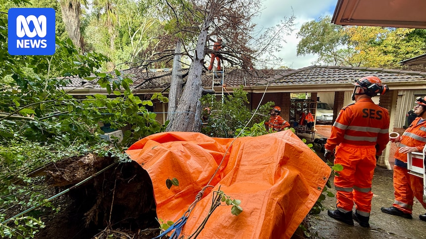 Cold front damages roofs, downs trees in Perth and WA's South West, with more rain to come