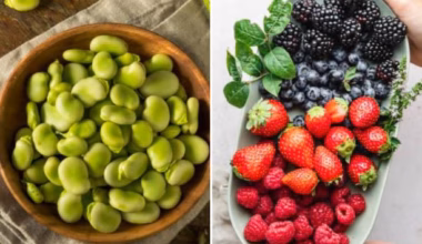 Put flavanols at the heart of your best five-a-day - The Australian