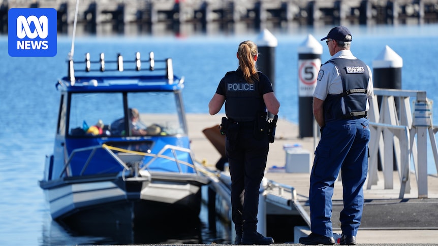 Diver dies after attack by suspected 4.5m shark off Albany