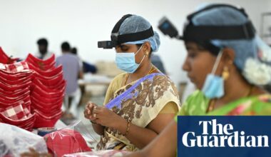 ‘Who is going to pay us when we’re replaced by robots?’ The Indian factory workers told to film themselves for AI | Global development