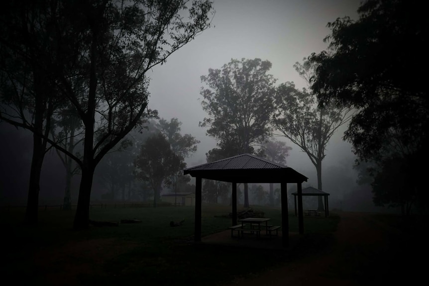 A dark misty park near Ficks Crossing waterhole