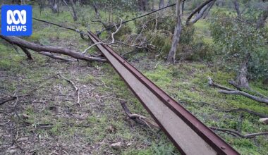 Stobie pole vandals put public at risk of electrocution in Adelaide's north