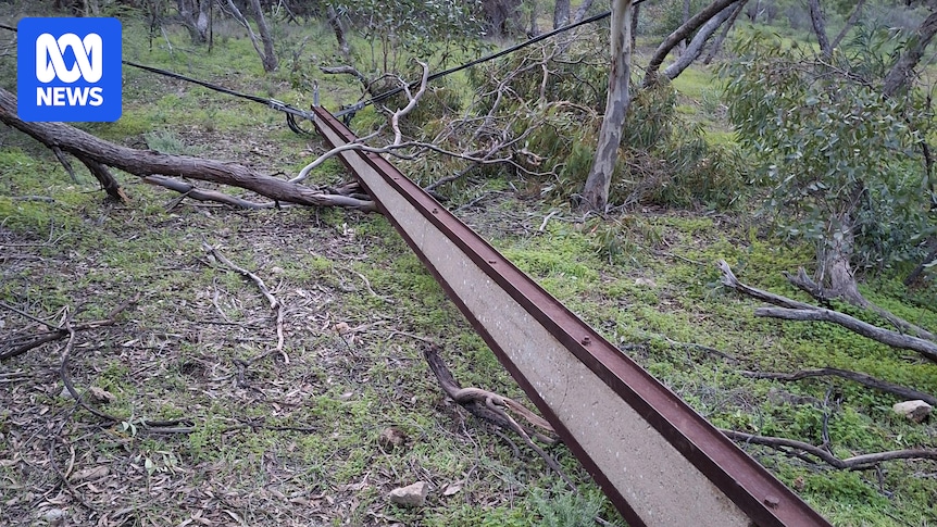 Stobie pole vandals put public at risk of electrocution in Adelaide's north