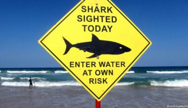 Man killed in shark attack off Western Australia
