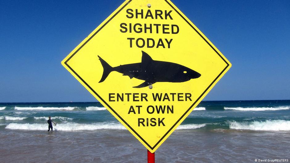 Man killed in shark attack off Western Australia