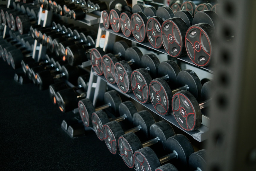 A line up of weights on racks in a gym.