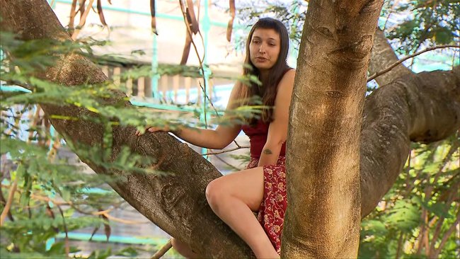 The protester spent almost 24 hours in the tree during a standoff over the future of Kurilpa Commons.