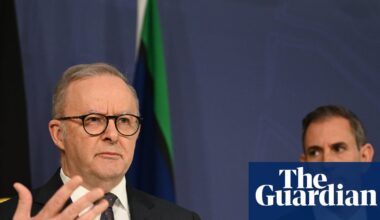 Labor tax critic deletes anti-immigration AI video reposted from rightwing nationalist account | Australian politics