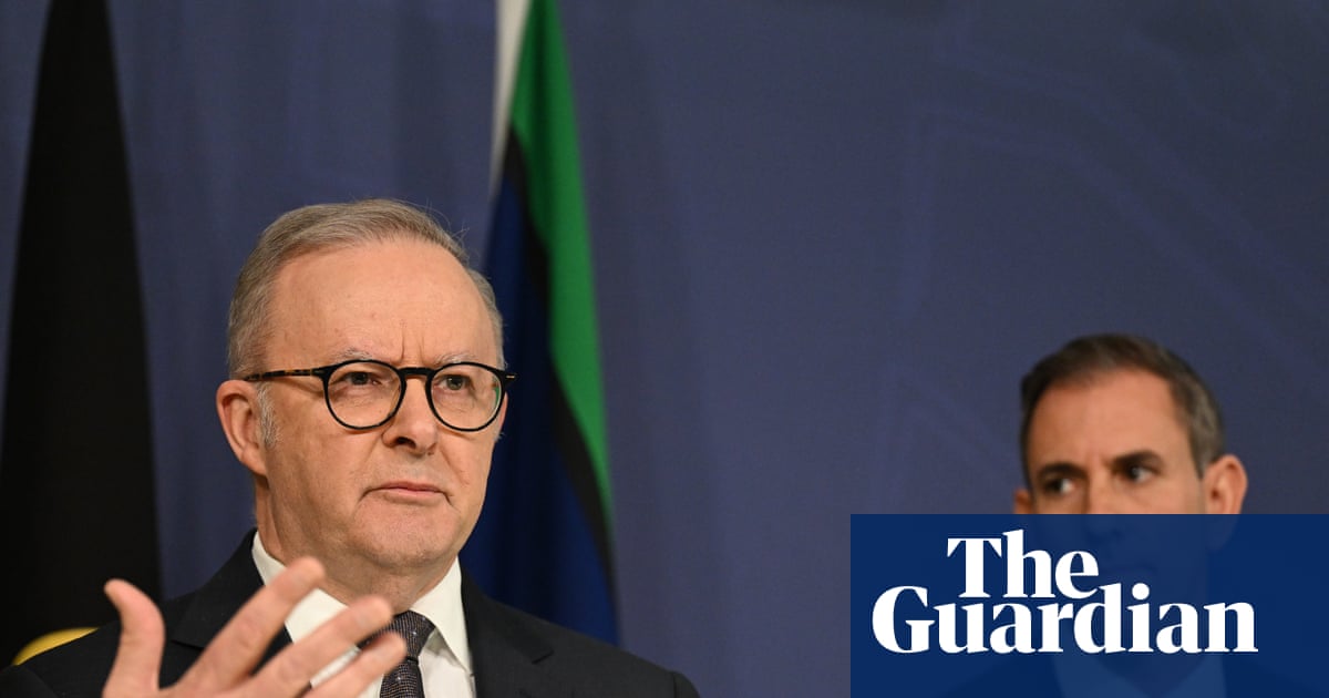Labor tax critic deletes anti-immigration AI video reposted from rightwing nationalist account | Australian politics