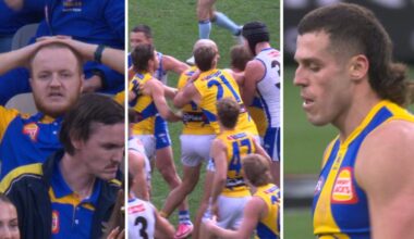 AFL result 2026, North Melbourne defeat West Coast Eagles, Round 14, Jake Waterman final minute missed shot on goal, Hamish Davis concussed, thriller