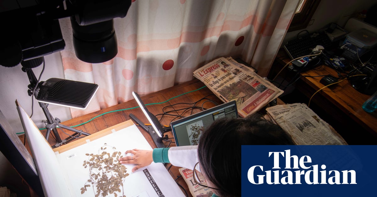 AI could help win ‘race against extinction’ of vital plants, say botanists | Plants