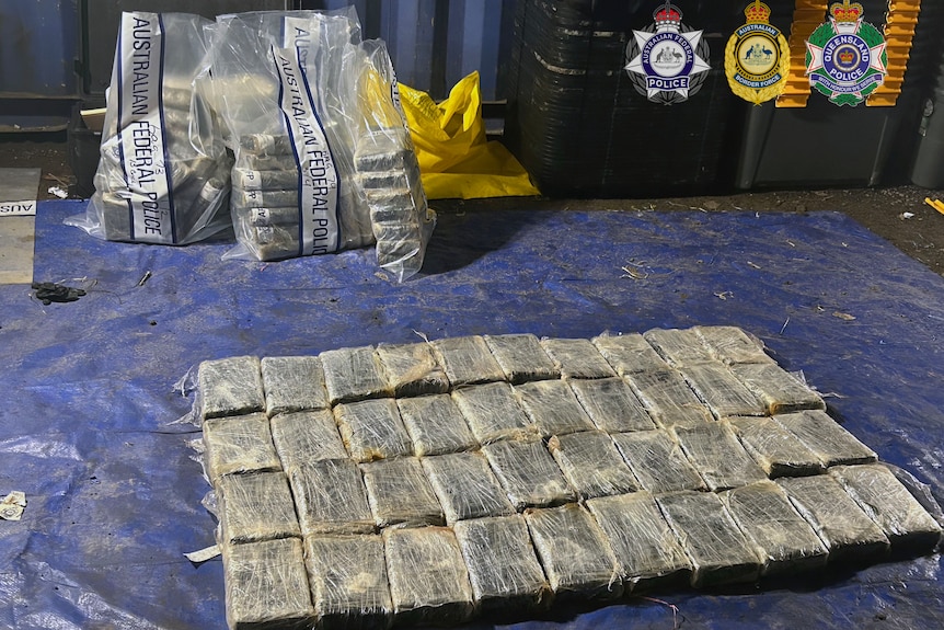 About three dozen packaged drugs lined up on a tarp.