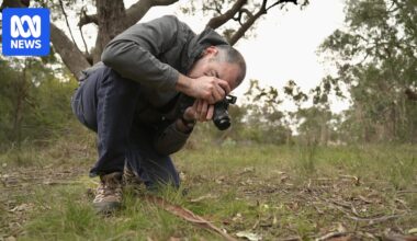 Frankston beer microbiologist's orchid hobby is helping document rare species