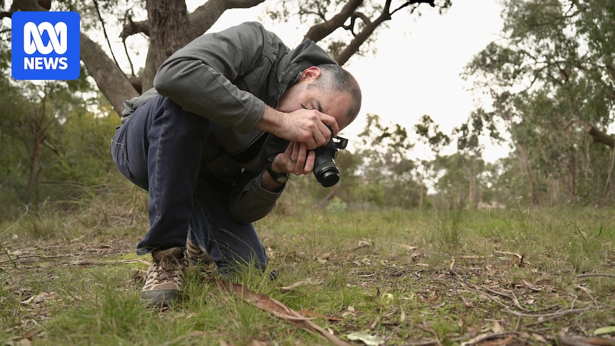 Frankston beer microbiologist's orchid hobby is helping document rare species