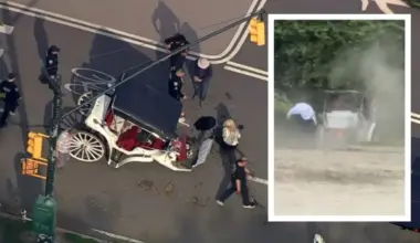 New York: Young man dies after horse-drawn carriages collide in ‘devastating’ crash at Central Park