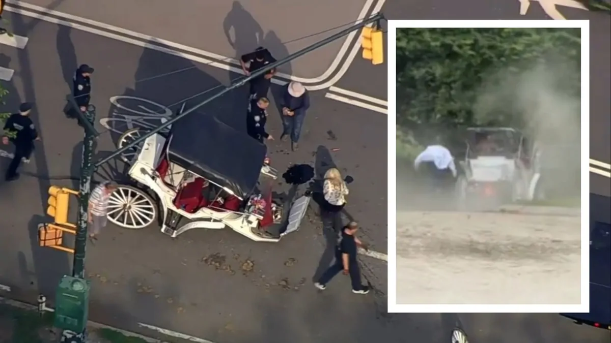 New York: Young man dies after horse-drawn carriages collide in ‘devastating’ crash at Central Park