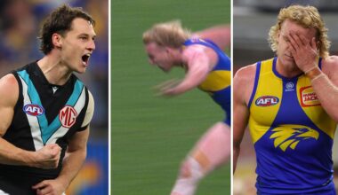 Live AFL 2026, West Coast Eagles vs Port Adelaide Power, Round 13