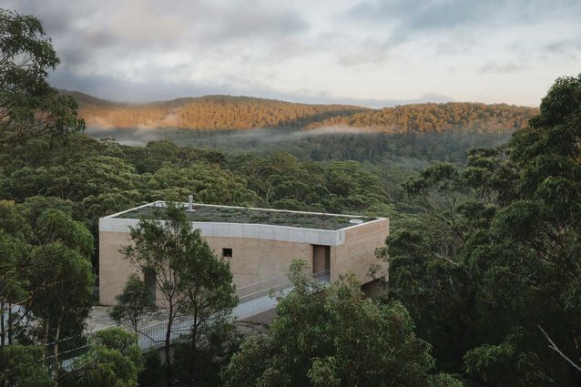 EA House by Bokey Grant