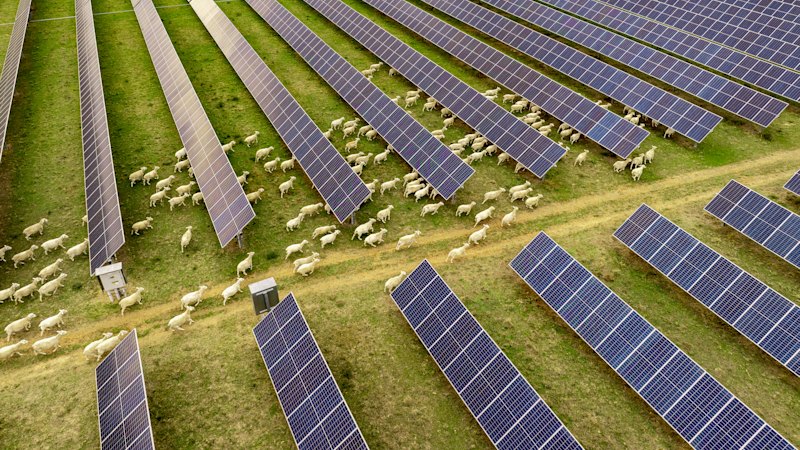 NSW Coalition energy plan: How the opposition plans to move renewable projects to Sydney, Newcastle and Wollongong