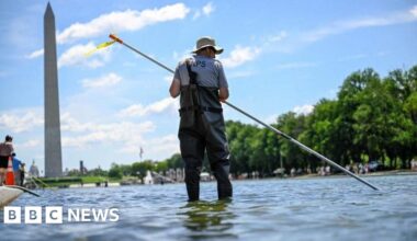 After Trump inspects Reflecting Pool, he says repair work will begin 'immediately' - BBC