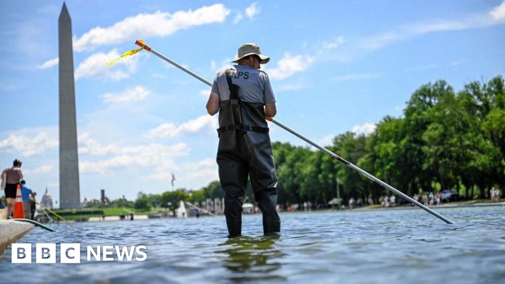 After Trump inspects Reflecting Pool, he says repair work will begin 'immediately' - BBC