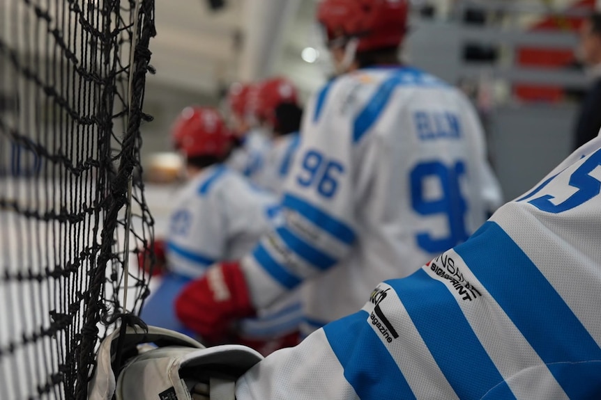 Close up shot of the back of ice hockey players