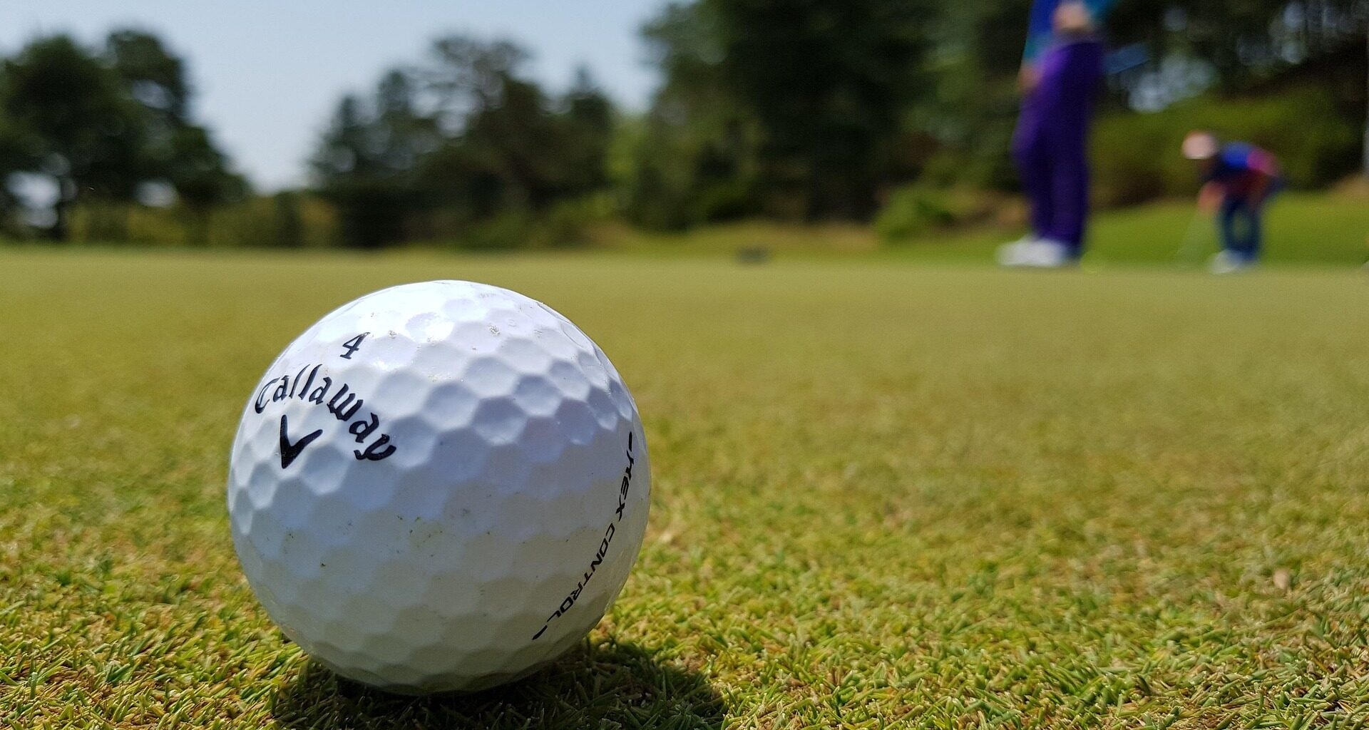 Proserpine Golf Weekly Results - Mackay Whitsunday LIfe