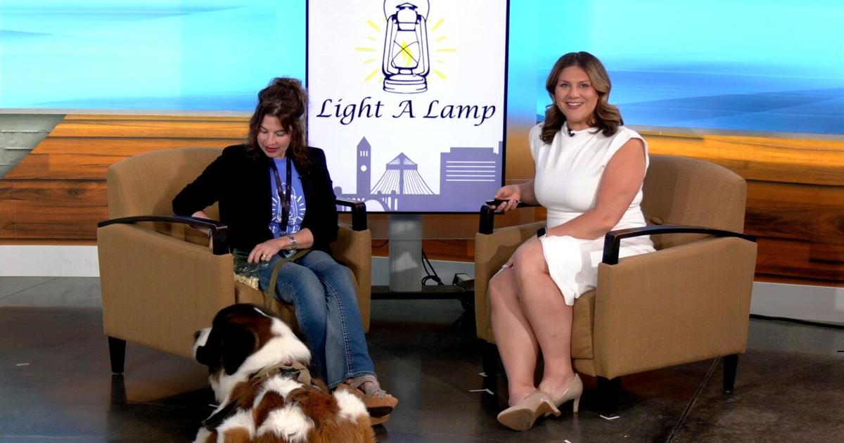 Annual Light up the Night fundraiser supports local mental health resources | News