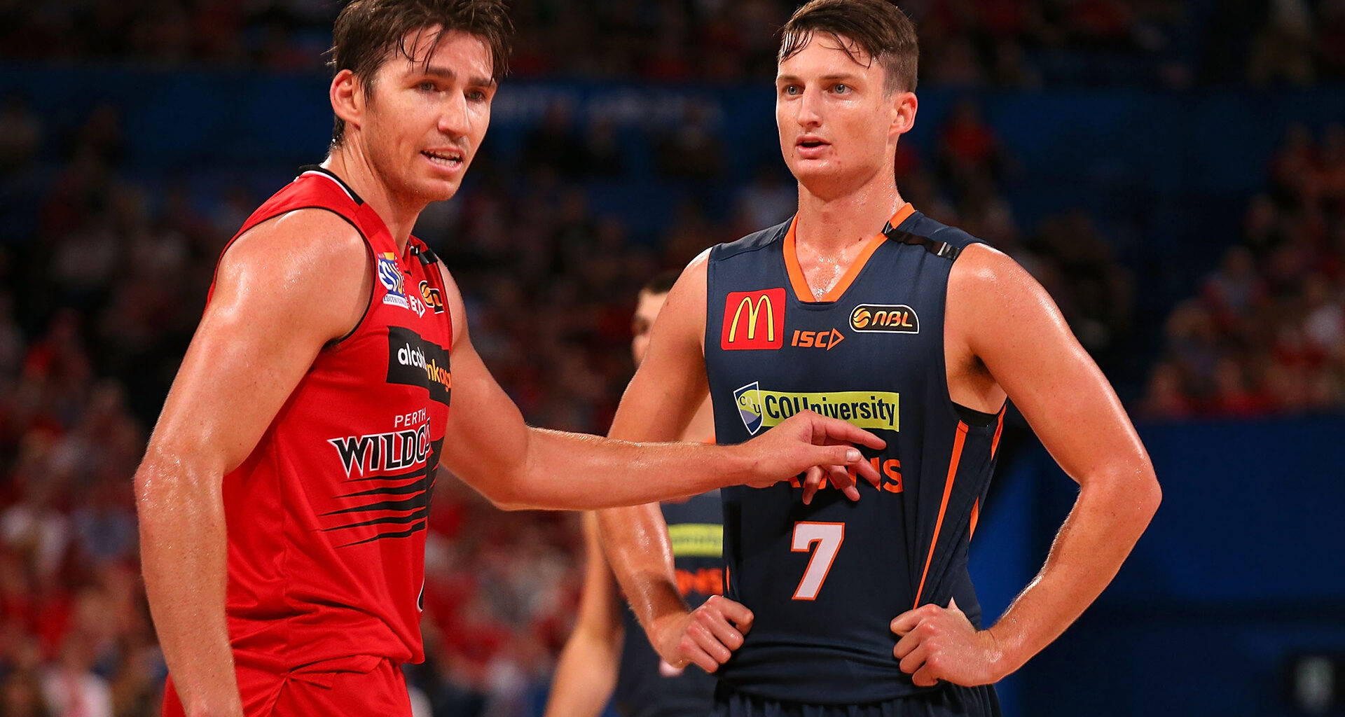 Bruce chases almighty Cairns comeback