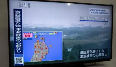 Tremors were felt several hundred kilometres away in Tokyo from the quake in the sea off Iwate prefecture on the main island of Honshu at 7.30am local time.