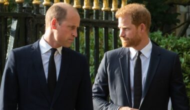 'He will do something about it': The one thing Prince William may strip from Prince Harry when he becomes King