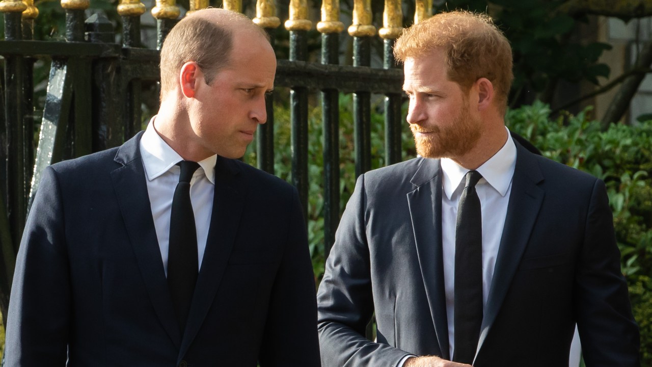 'He will do something about it': The one thing Prince William may strip from Prince Harry when he becomes King