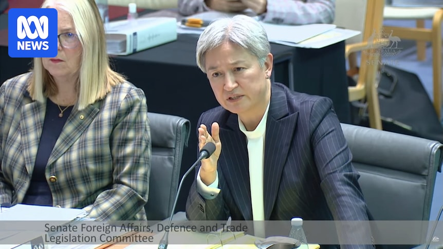 Penny Wong says she believes activists who say they were sexually assaulted in Israeli custody