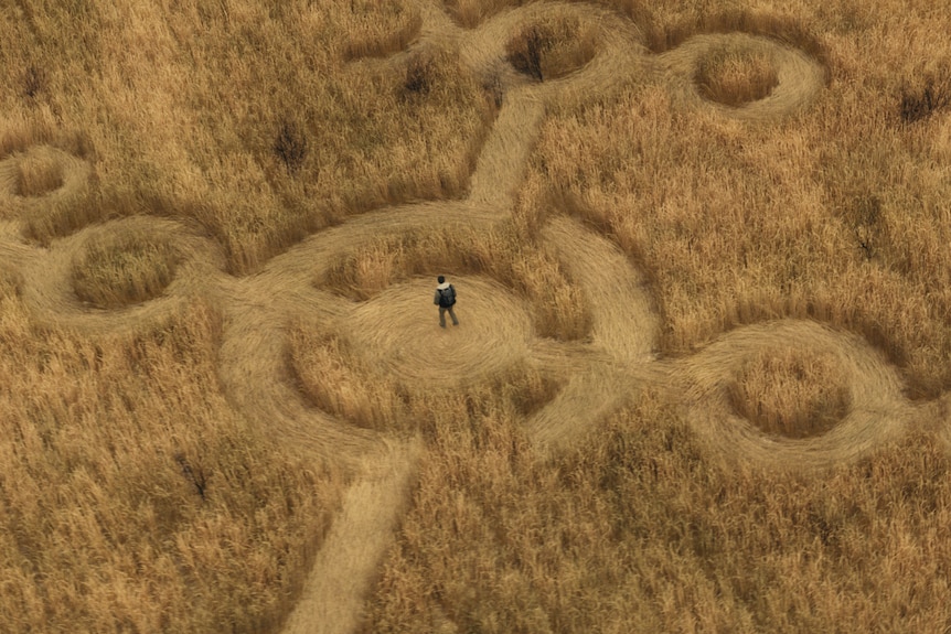 A man stands in a crop circle