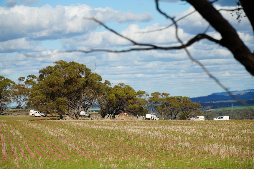 A wide shot of several cars by bushland.