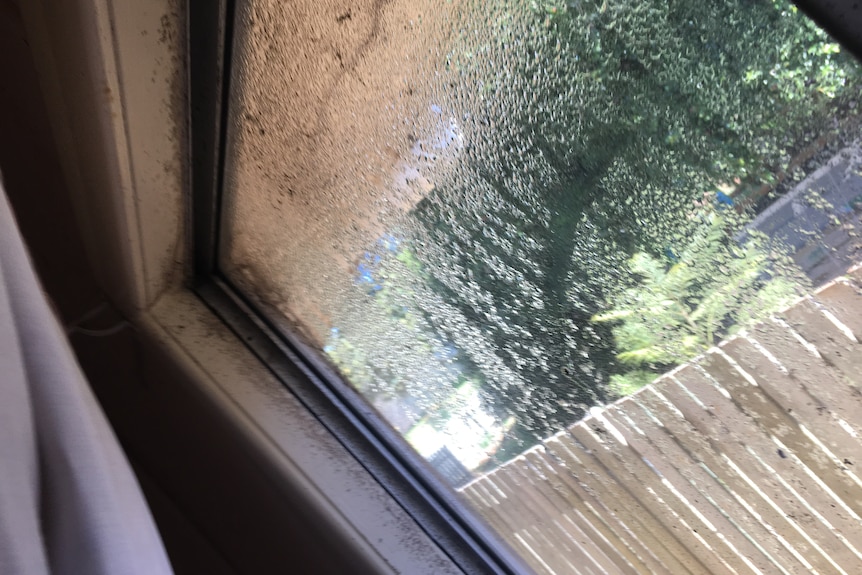 A wet window with mould on the sill.