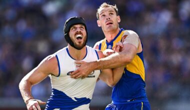 AFL tips Round 14 2026