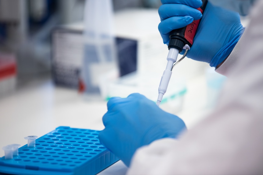 People with lab coats and surgical gloves working in a lab with science equipment.