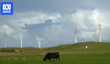 Report claims Coalition's renewable 'buffer zone' puts projects at risk