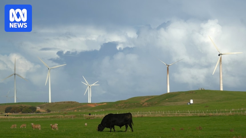 Report claims Coalition's renewable 'buffer zone' puts projects at risk