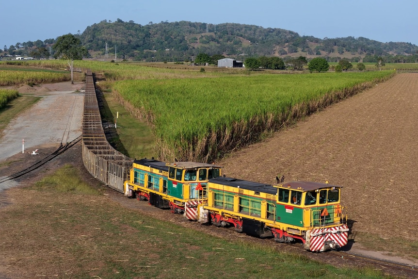 A cane train driving through the countryside