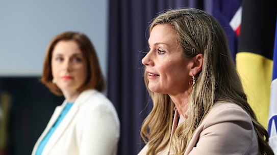 eSafety Commissioner Julie Inman Grant has expressed reservations about the social media ban for under-16s pushed by Minister for Communications Anika Wells.