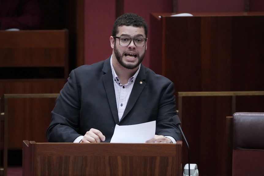 Jordon Steele-John speaks in the senate
